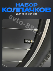 Колпачок ниппеля универсальный 4шт. TYPER чёрный фото 5