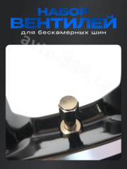 Вентиль для бескамерных шин 5шт. TR48E фото 6