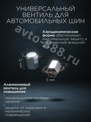 Колпачок ниппеля универсальный 10шт. TR414ZPG фото 7