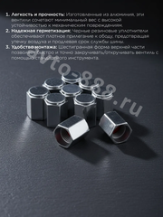 Колпачок ниппеля универсальный 10шт. TR414ZPG фото 6