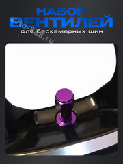 Вентиль для бескамерных шин 4шт. TR48E фиолетовый фото 6